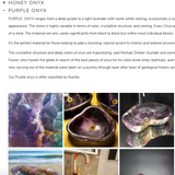 Close up view of the expanded accordion content showing the custom Shopify image gallery